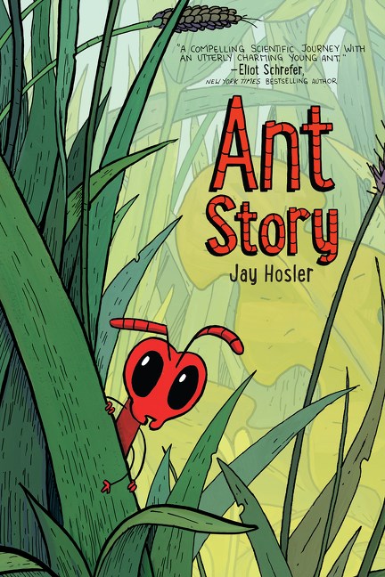 Ant Story TP Default Title