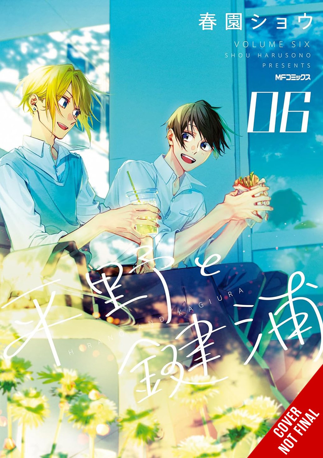 Hirano and Kagiura TP Vol 06 Default Title