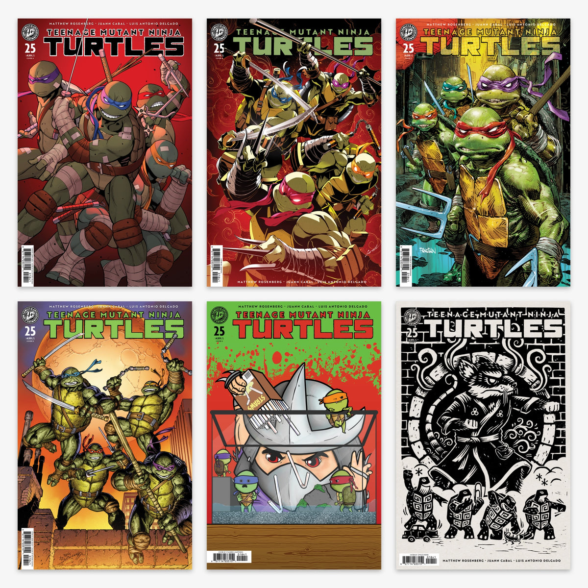 Teenage Mutant Ninja Turtles #25 Bundle – Covers A–F (No Incentive)
