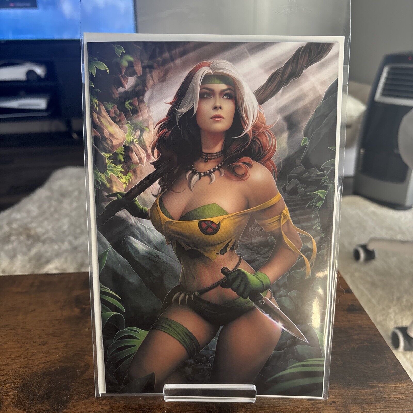 ROGUE SAVAGE LAND #1 WARREN LOUW STORE EXCLUSIVE VIRGIN LTD 300 #177/300