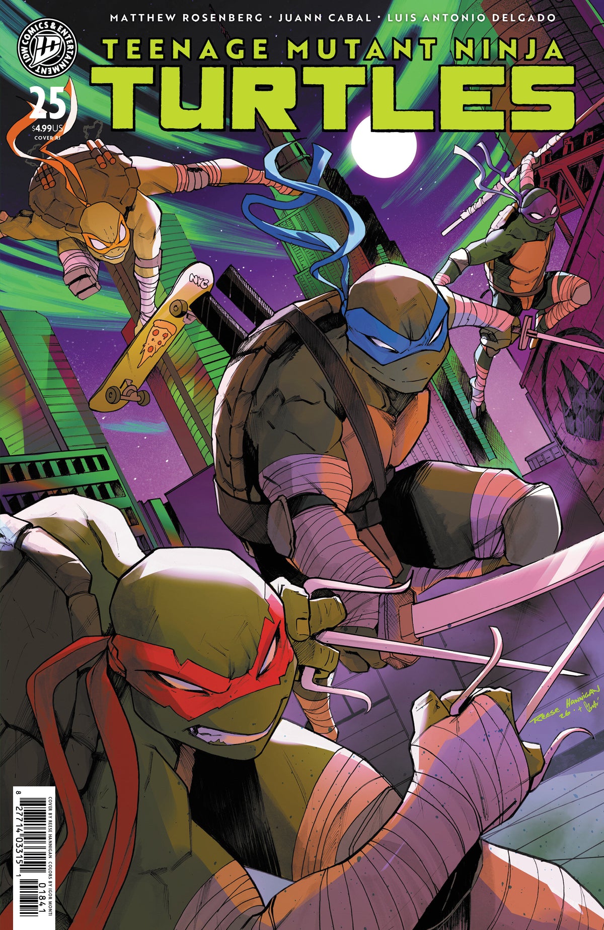 Teenage Mutant Ninja Turtles #25 Cover G – 1:10 Ratio 10 Hannigan Variant