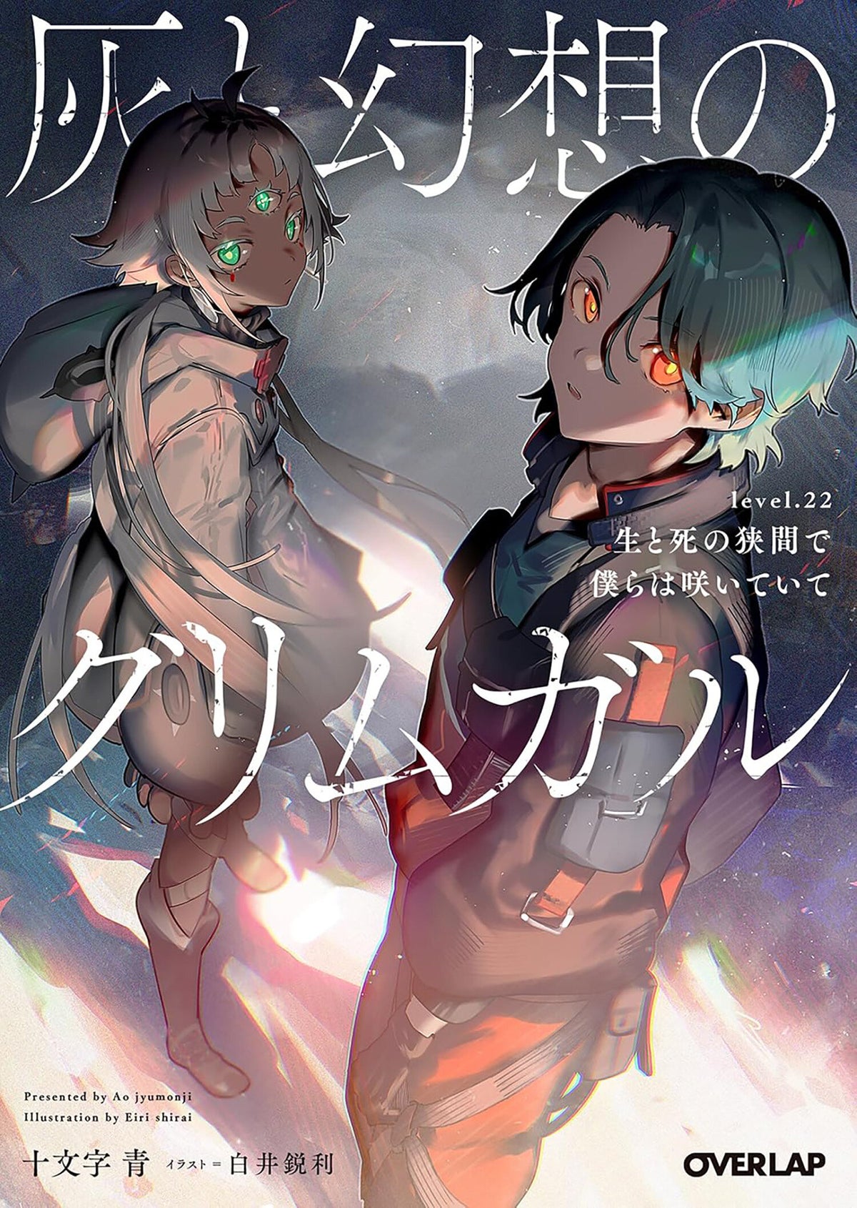 Grimgar of Fantasy and Ash (Light Novel) Vol. 22 TP Default Title