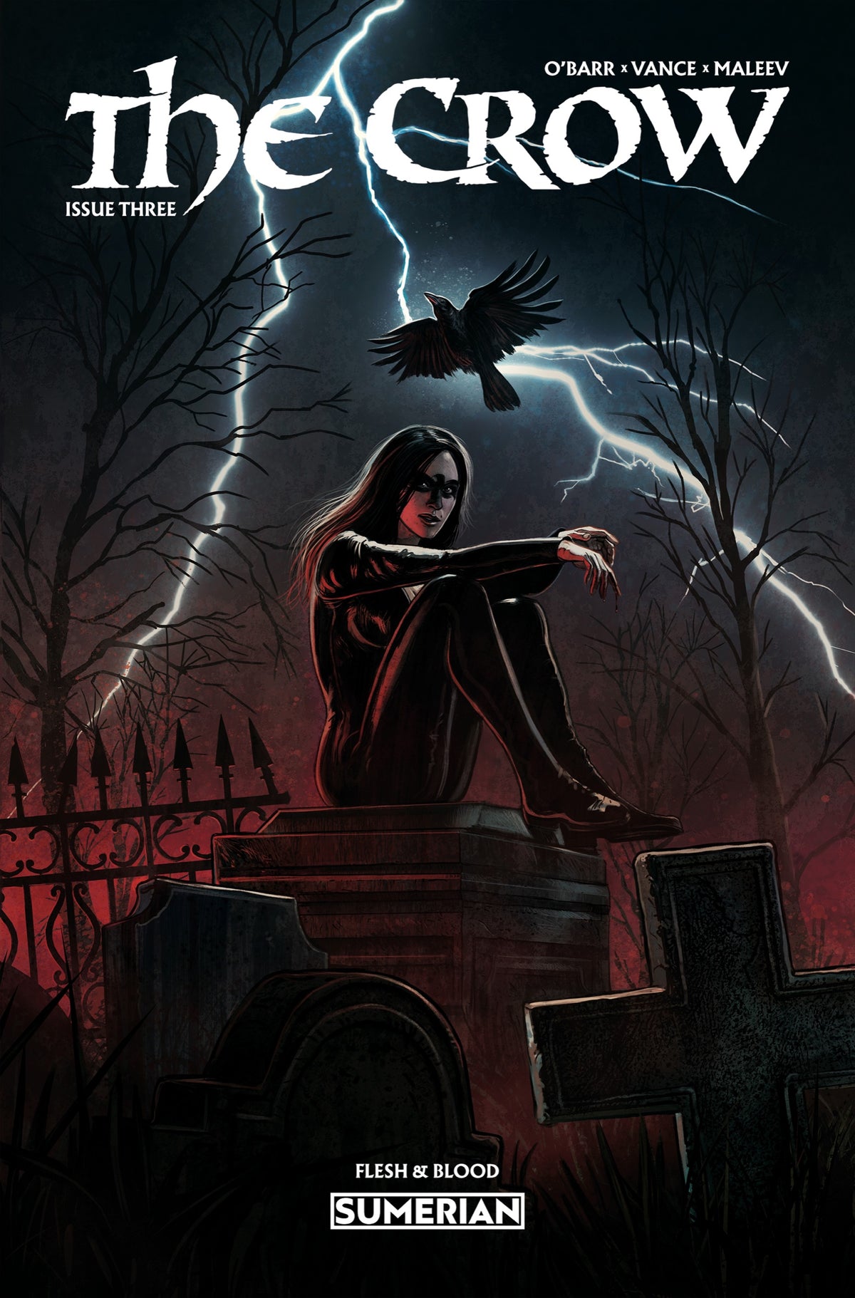 Crow Flesh and Blood #3 Cover A – Eduardo Schaal