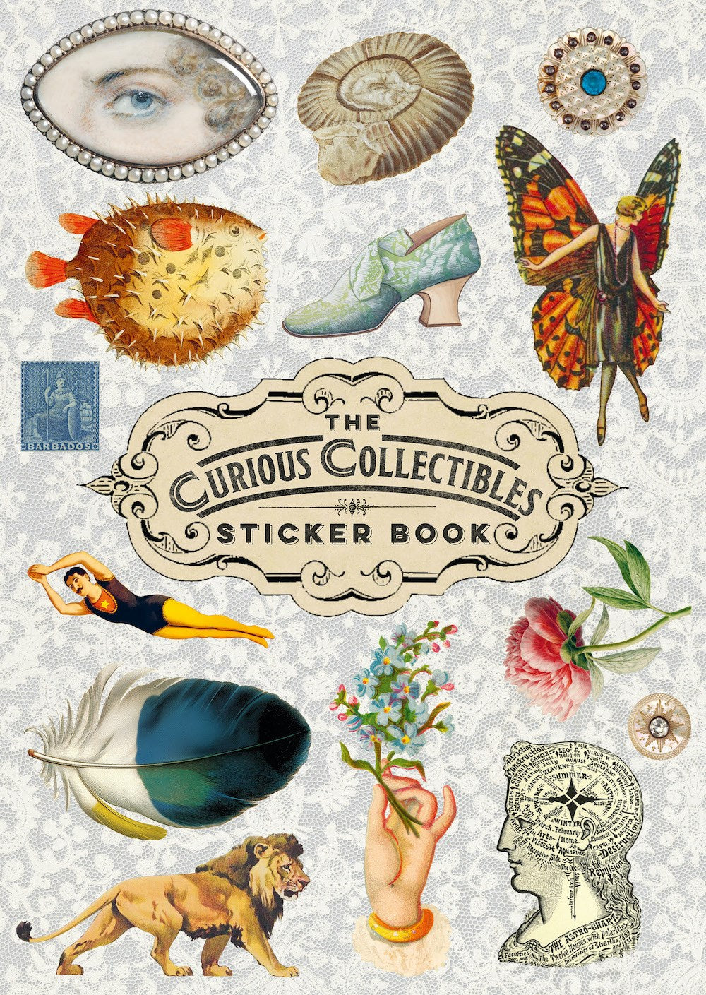 Curious Collections Sticker Book TP Default Title