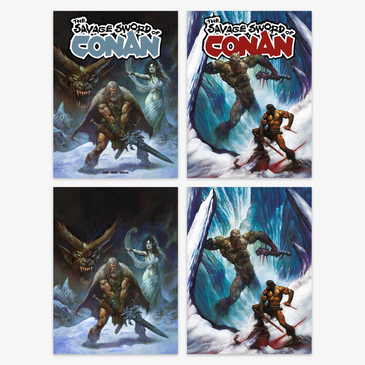 Savage Sword of Conan #18 Bundle – Covers A–D
