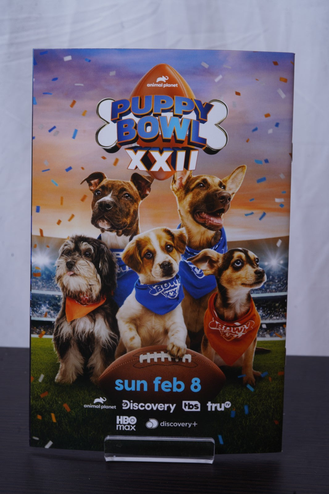 ABSOLUTE WONDER WOMAN #16 CVR C GUILLEM MARCH CARD STOCK VAR DC COMICS