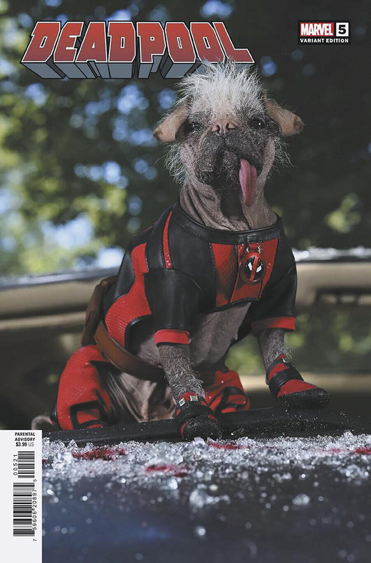 DEADPOOL #5 (Vol 9) Movie Variant Dogpool Photo Cover Wolverine MCU Marvel 2024