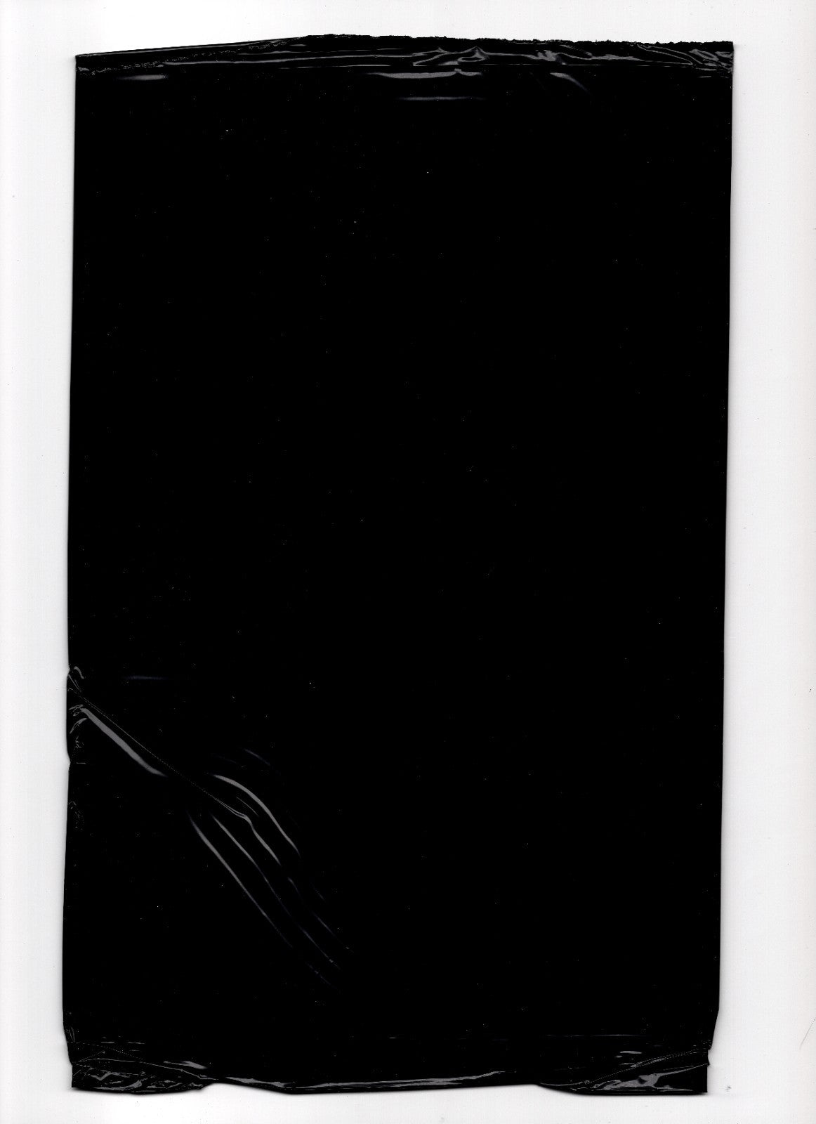 Gun Honey Doubles Down #2 Cover F Rare Tempter Wraparound Bagged Variant