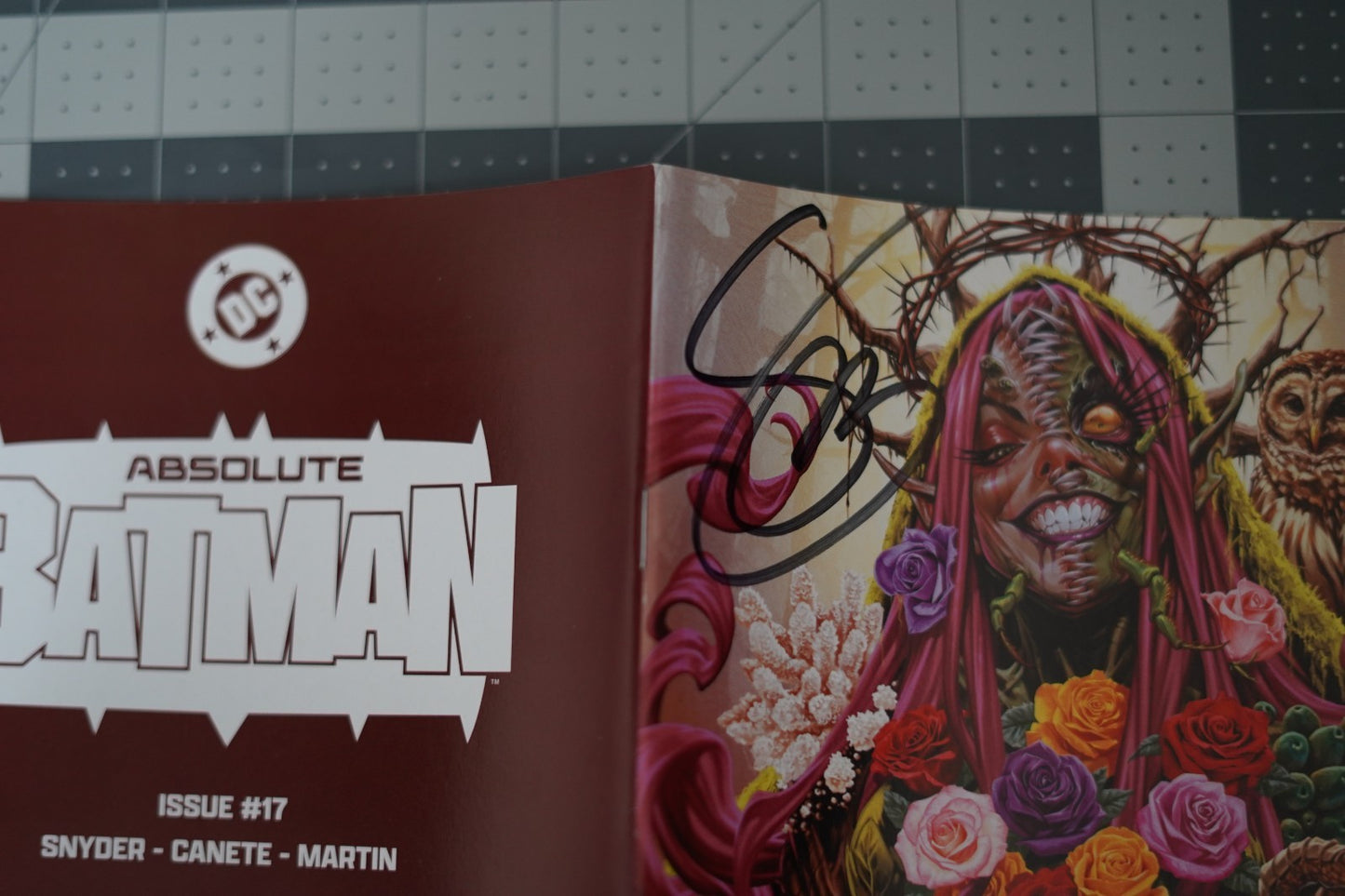 Absolute Batman #17  Brooks & Snyder 2X SIGNED - Real Ivy